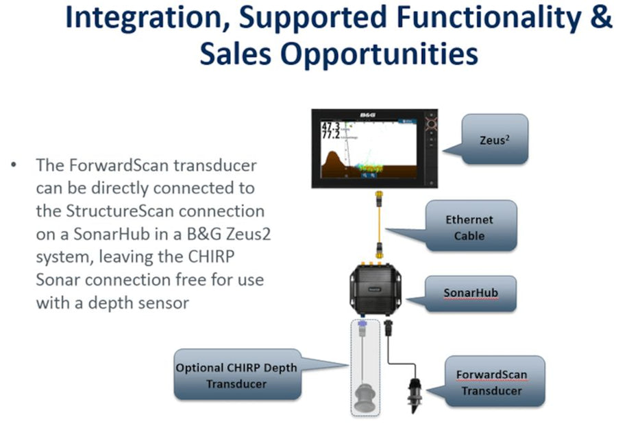 ForwardScan™ Transducer Only